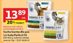 Auchan Karma dla kota Perfect Fit oferta