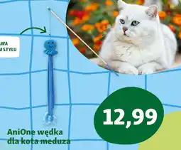 Maxi Zoo AniOne wędka dla kota meduza oferta