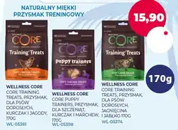 Moby Dick Wellness core core dla psów oferta