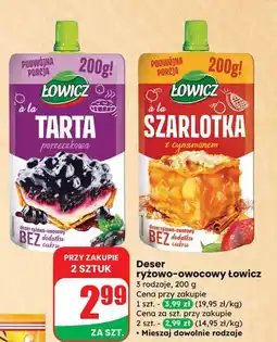 Dino Deser ryżowo-owocowy tarta porzeczkowa Łowicz oferta