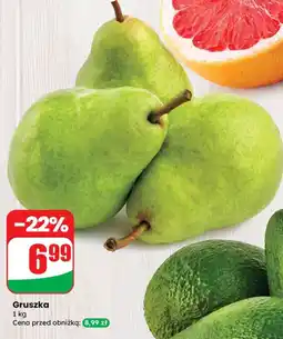 Dino Gruszka Dino oferta