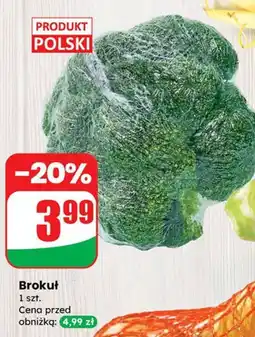 Dino Brokuł Codziennie świeże oferta