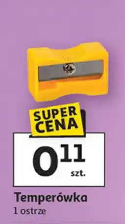 Auchan Temperówka oferta