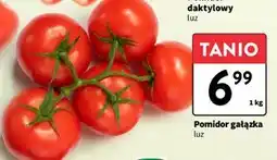 Intermarche Pomidory gałązka oferta