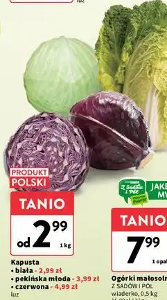Intermarche Kapusta czerwona oferta