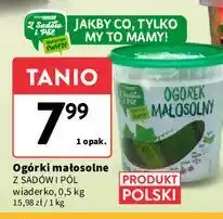 Intermarche Ogórek małosolny Z Sadów I Pól oferta