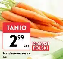 Intermarche Marchew wczesna polska oferta