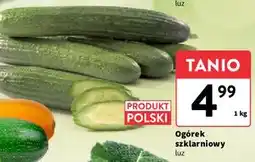 Intermarche Ogórek szklarniowy polska oferta