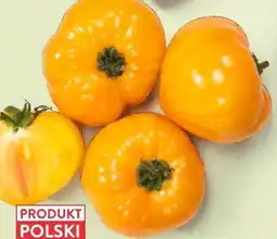 Intermarche Pomidor żółty 1 kg Intermarche oferta