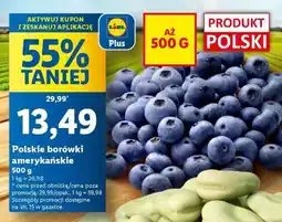 Lidl Polskie borówki amerykańskie oferta
