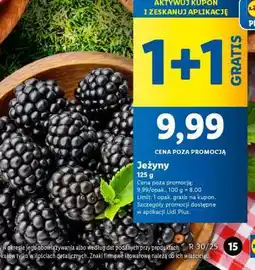 Lidl Jeżyny oferta