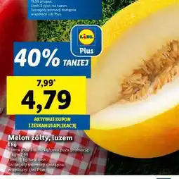 Lidl Melon żółty, luzem oferta