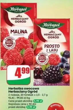 Dino Herbatka owocowa Herbaciany Ogród oferta