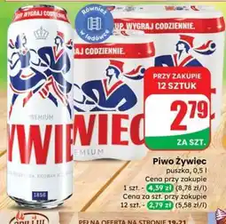 Dino Piwo Żywiec oferta
