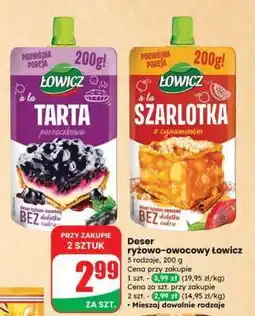 Dino Deser ryżowo-owocowy Łowicz oferta