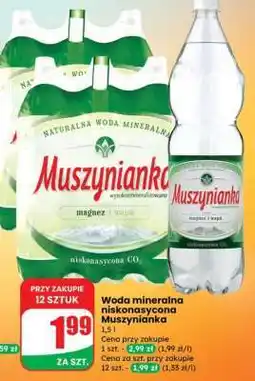 Dino Woda mineralna niskonasycona Muszynianka oferta