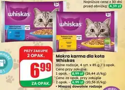 Dino Mokra karma dla kota Whiskas oferta