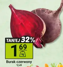 Hitpol Burak czerwony Hitpol oferta