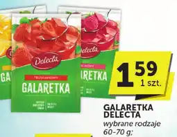 Groszek Galaretka Delecta różne rodzaje oferta
