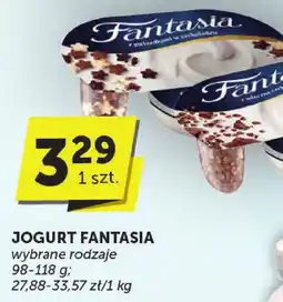 Euro Sklep Jogurt Fantasia różne rodzaje oferta