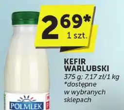 Groszek Kefir Warlubski oferta