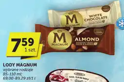 ABC Lody Magnum oferta