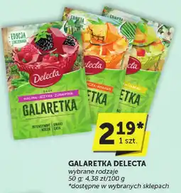 ABC Galaretka Delecta różne rodzaje oferta