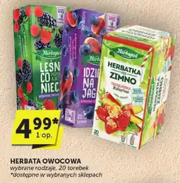 ABC Herbata owocowa różne rodzaje Herbapol oferta