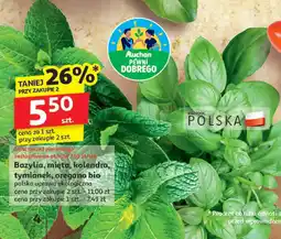 Auchan Zioła bazylia, mięta, kolendra, tymianek, oregano bio Auchan oferta