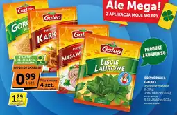 Groszek Przyprawy Galeo różne rodzaje oferta