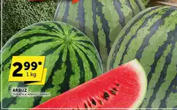 Groszek Arbuz Groszek oferta