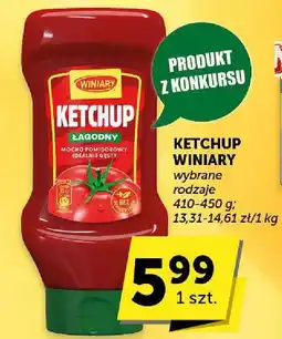 Groszek Ketchup Winiary oferta