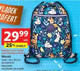 Auchan Worek oferta