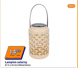 Action Lampion solarny oferta