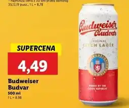 Lidl Piwo Budweiser oferta