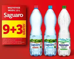 Lidl Woda gazowana Saguaro oferta