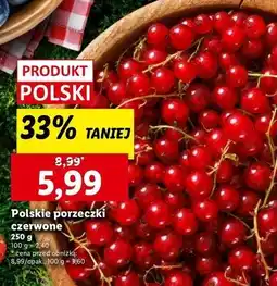 Lidl Porzeczka czerwona oferta