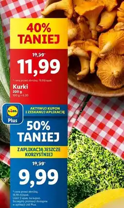 Lidl Kurki - całe oferta