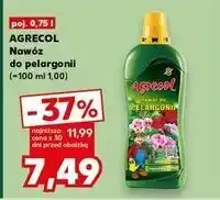 Kaufland Nawoz do pelargonii Agrecol oferta