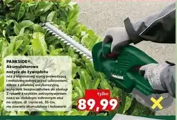 Kaufland Nożyce akumulatorowe żywopłotu 20v Parkside oferta