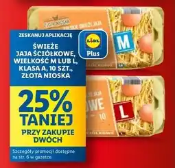 Lidl Jaja ściółkowe kl. l Złota Nioska oferta