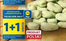Lidl Bób polska oferta