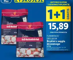 Lidl Brykiet wegla drzewnego Grill And Fun oferta