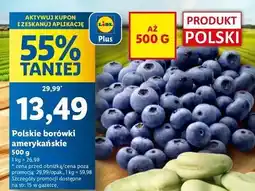 Lidl Borówka amerykańska oferta