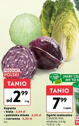 Intermarche Kapusta pekińska młoda 1 kg Intermarche oferta