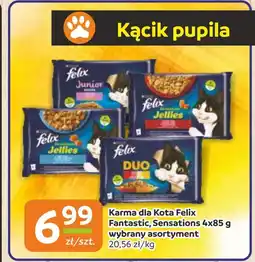 Gama Karma dla kota Felix oferta