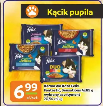 Gama Karma dla kota Felix oferta