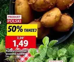 Lidl Ziemniaki Polski oferta
