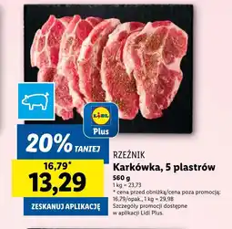 Lidl Karkówka Plus-Plus oferta