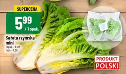 Polomarket Sałata rzymska mini 1 opak. POLOmarket oferta